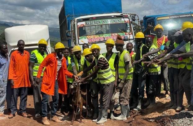 Our professional team at work